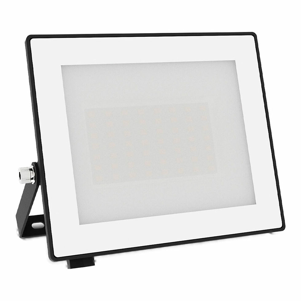 Flutlicht Philips Schwarz 30 W F (5000 K)