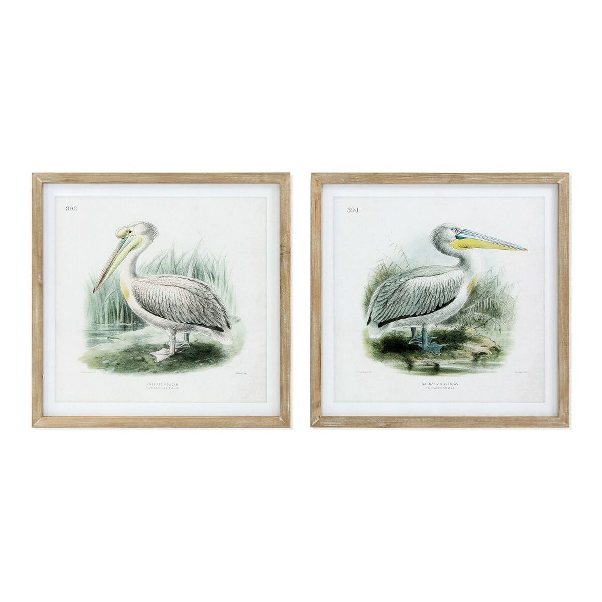 Bild DKD Home Decor Pelican Vogel 60 x 2 x 60 cm (2 Stück)