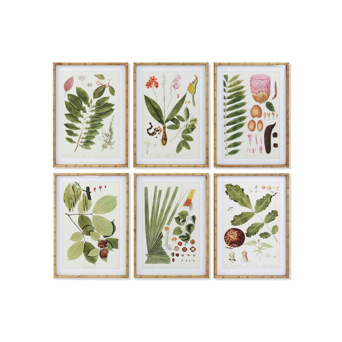 Bild DKD Home Decor 50 x 2,8 x 70 cm Moderne Botanische Pflanzen (6 Stücke)