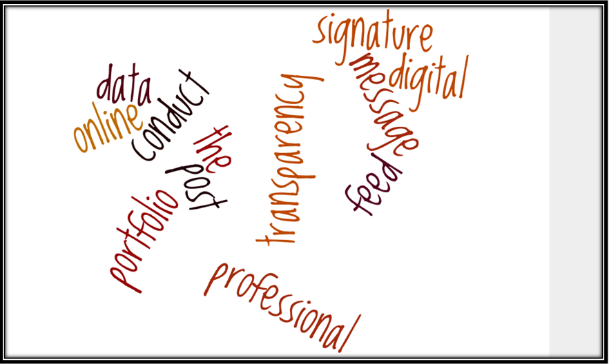 Digital Footprint Assignment gispro