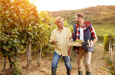 Family in vineyard celebrating harvestin