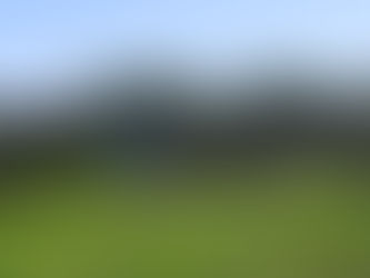 What Is Solar Grazing Exactly? And What a Year Under the Panels Taught Us