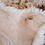 Thumbnail: Snowdrift Sheepskin