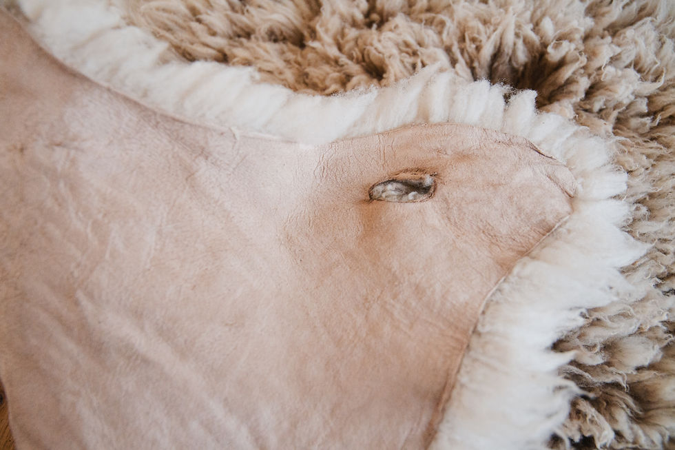 Thumbnail: Snowdrift Sheepskin