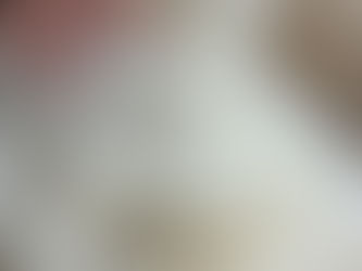 How Can Wool Pellets Improve Your Garden in Boulder County?