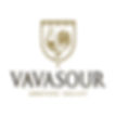 Vavasour Logo
