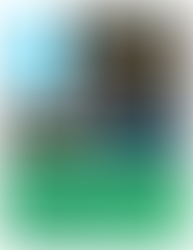 INFLUENCING STRATEGY