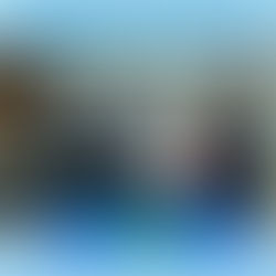 FOLLOWERSHIP STYLE IN MIDDLE MANAGEMENT