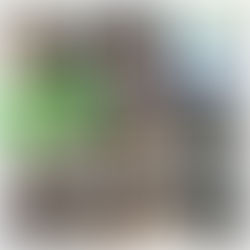 Action Research in Organisation Development