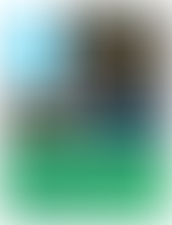 INFLUENCING STRATEGY