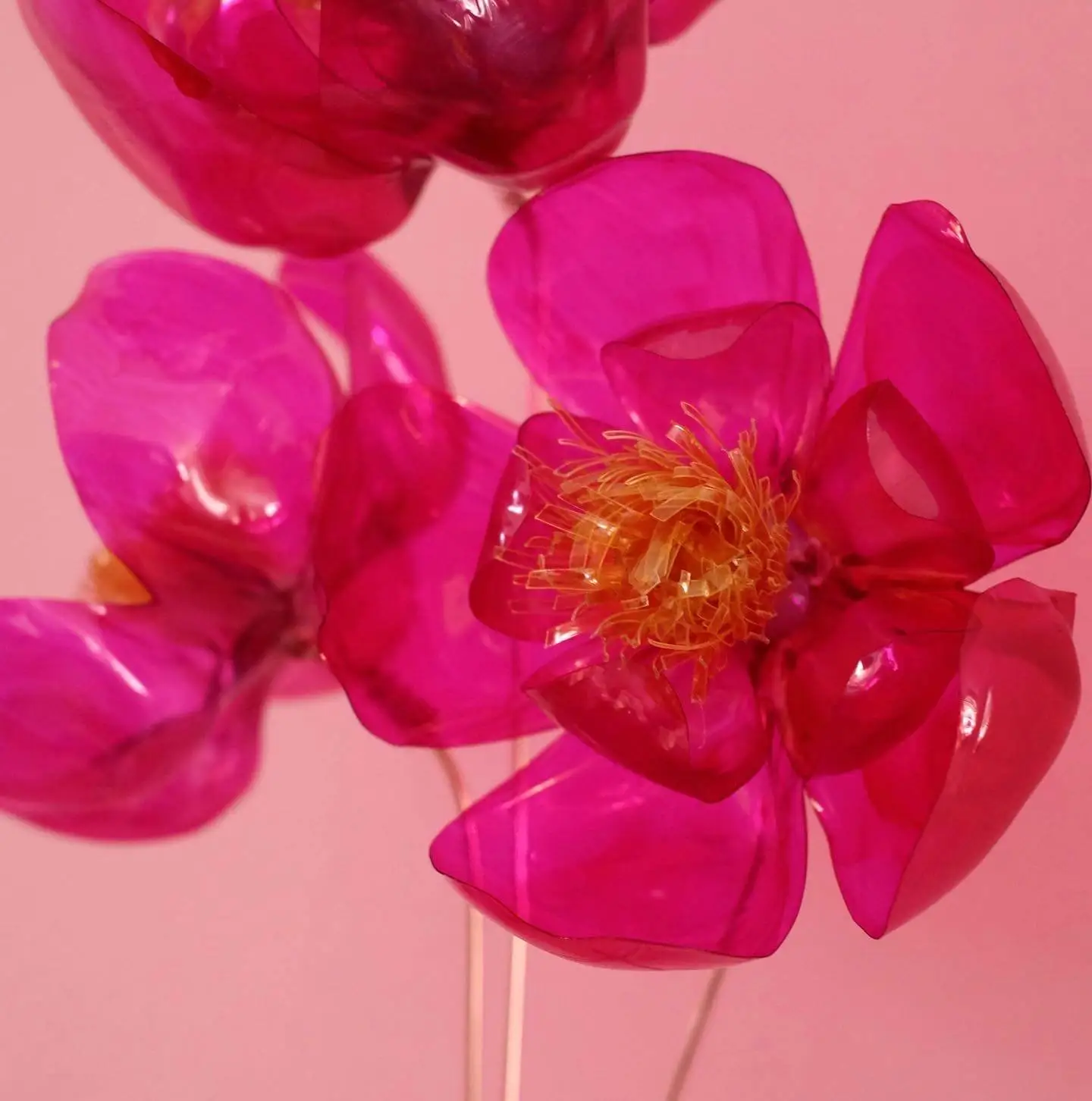 Aimee Maxelon art product photography 1