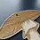 Thumbnail: Plywood Mushroom Decoration