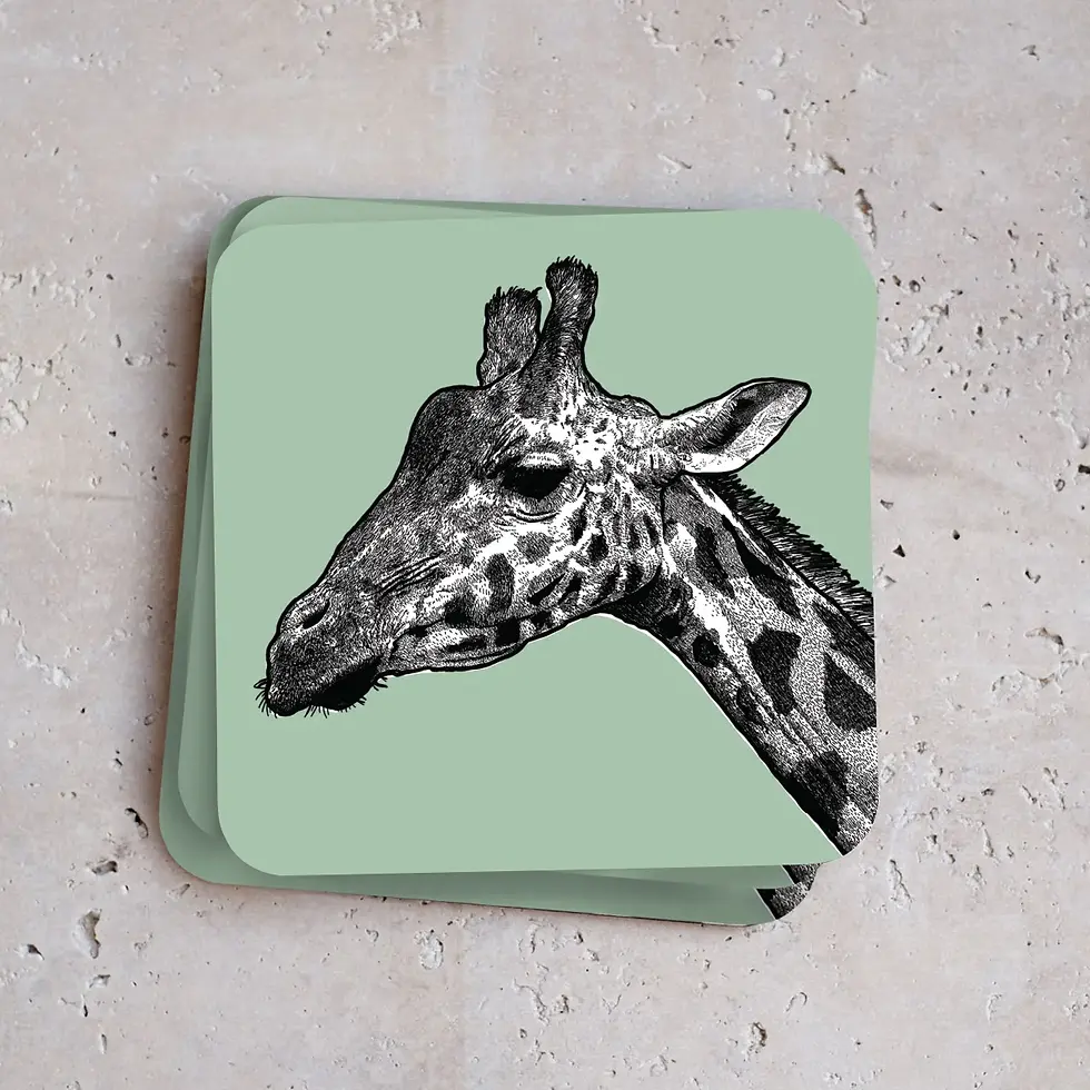 Thumbnail: Melamine coasters with a print of a hand-drawn illustrated giraffe on a green background.
