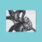 Melamine table mat with a print of a hand-drawn illustrated octopus in black and white.
