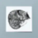 Print of illustrated sleeping cat in black and white.