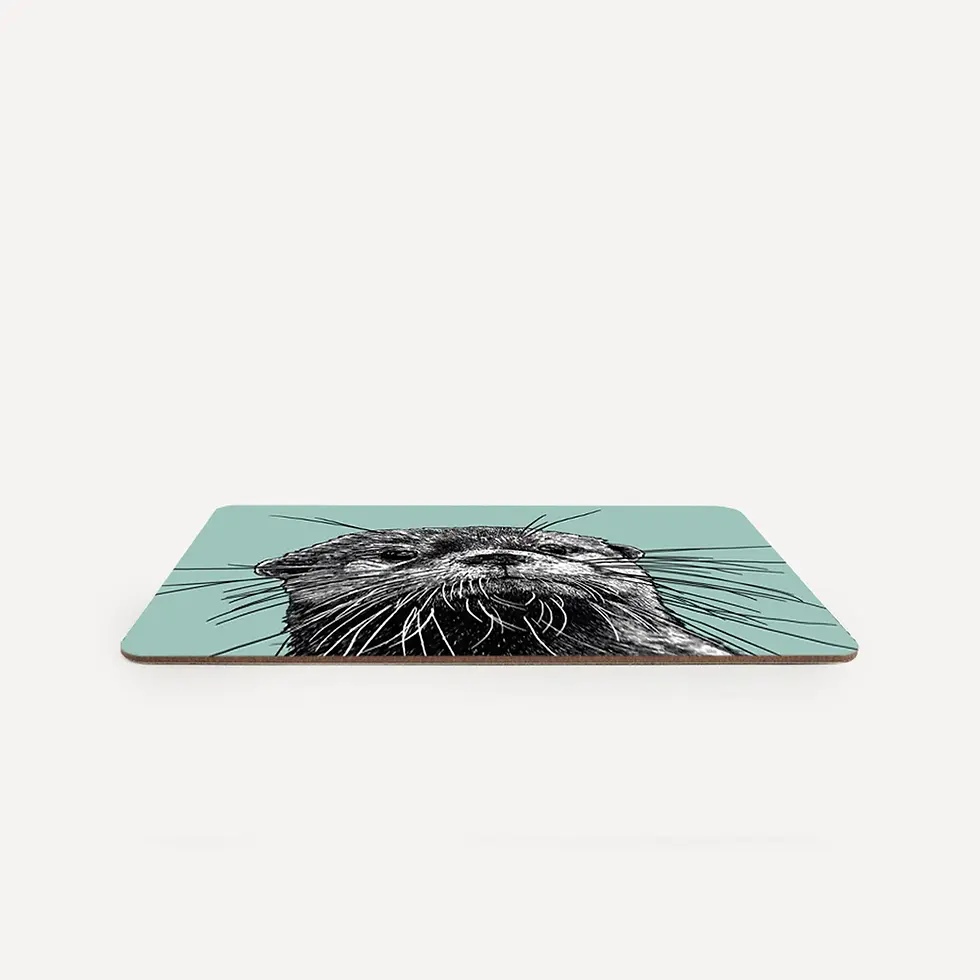 Thumbnail: Melamine table mat with a print of a hand-drawn illustrated otter on a light teal background.