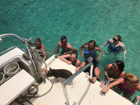 Diving in St. Thomas with Abbi the Scuba Pig