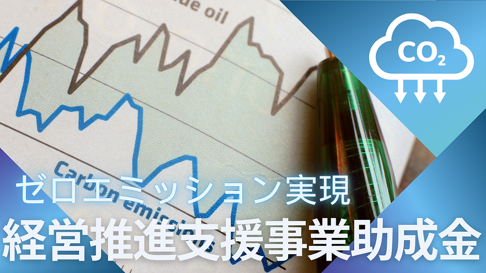 ゼロエミッション実現に向けた経営推進支援事業助成金
