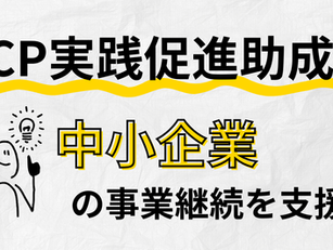 中小企業の事業継続を支援!BCP実践促進助成金の活用ガイド