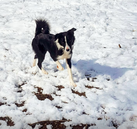 Screen Shot 2019-03-17 at 00.06.07.png