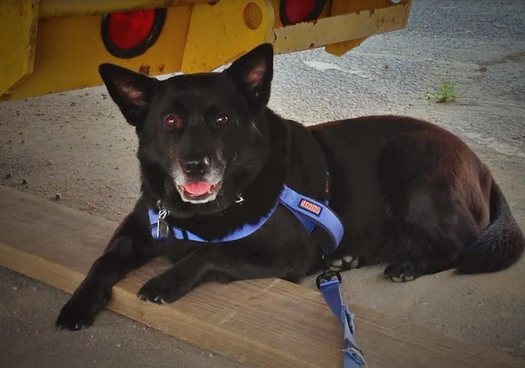 Screen Shot 2019-03-25 at 20.38.34.png