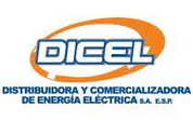 Dicel.jpg