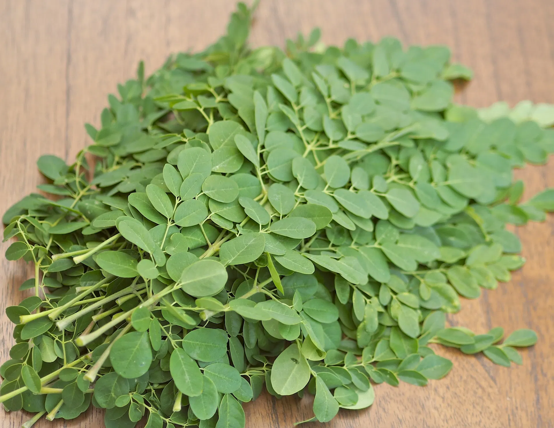 Moringa Oleifera Powder (50gms)