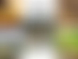 Top 5 Wildlife Experiences at Pench National Park