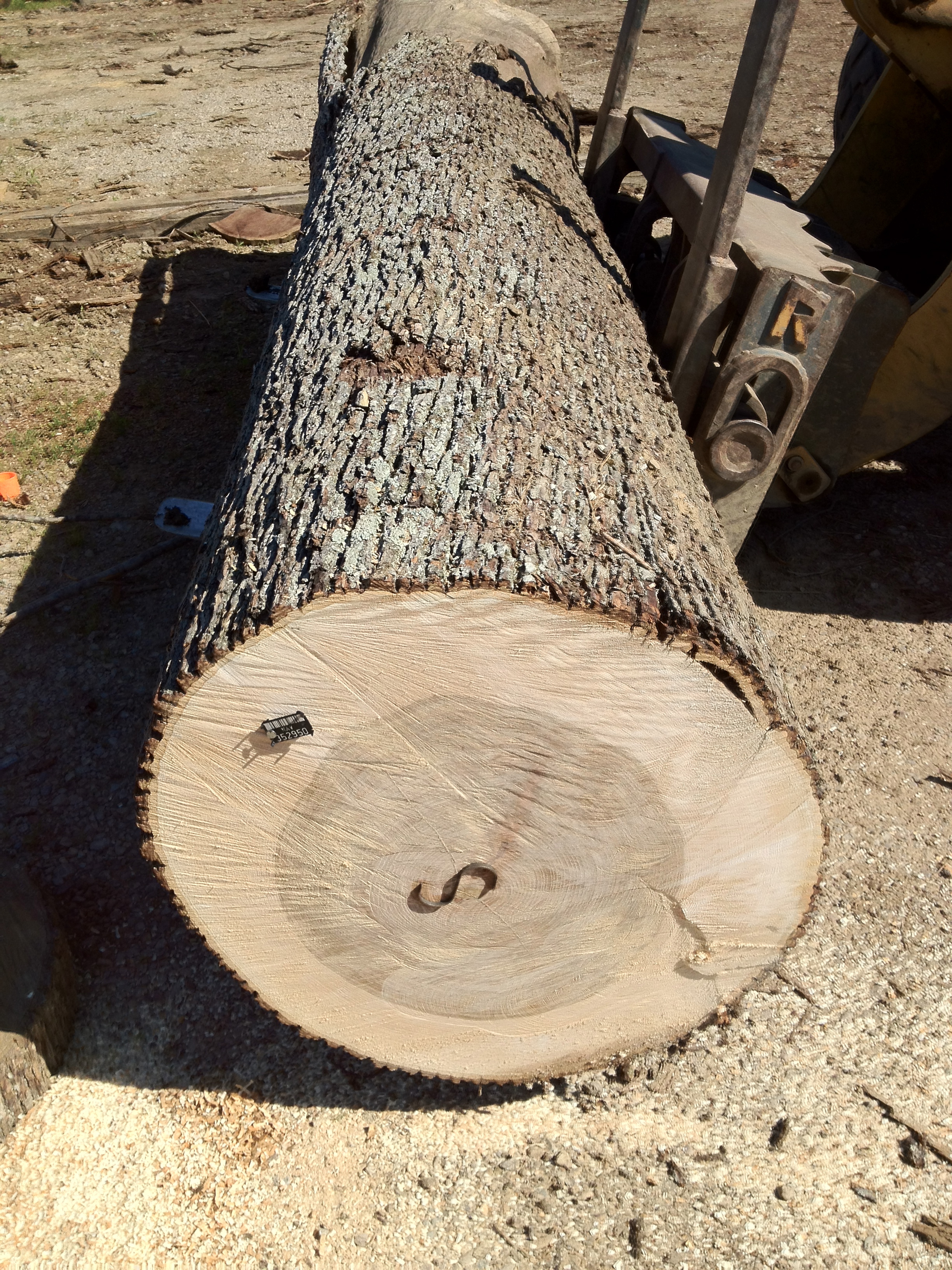 Hickory logs