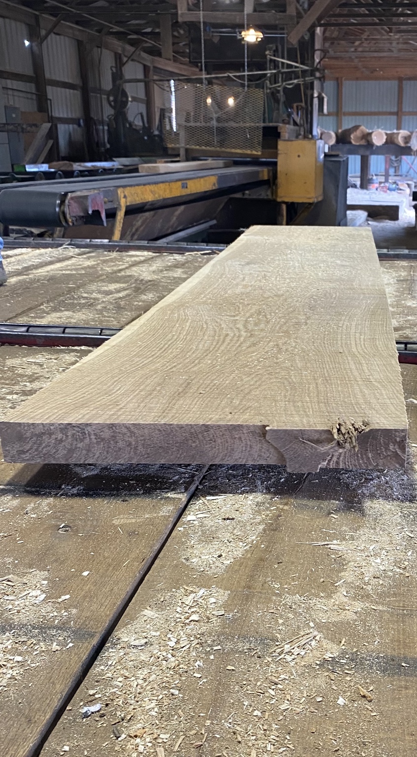 Freshly milled hardwood board on the sawmill carriage