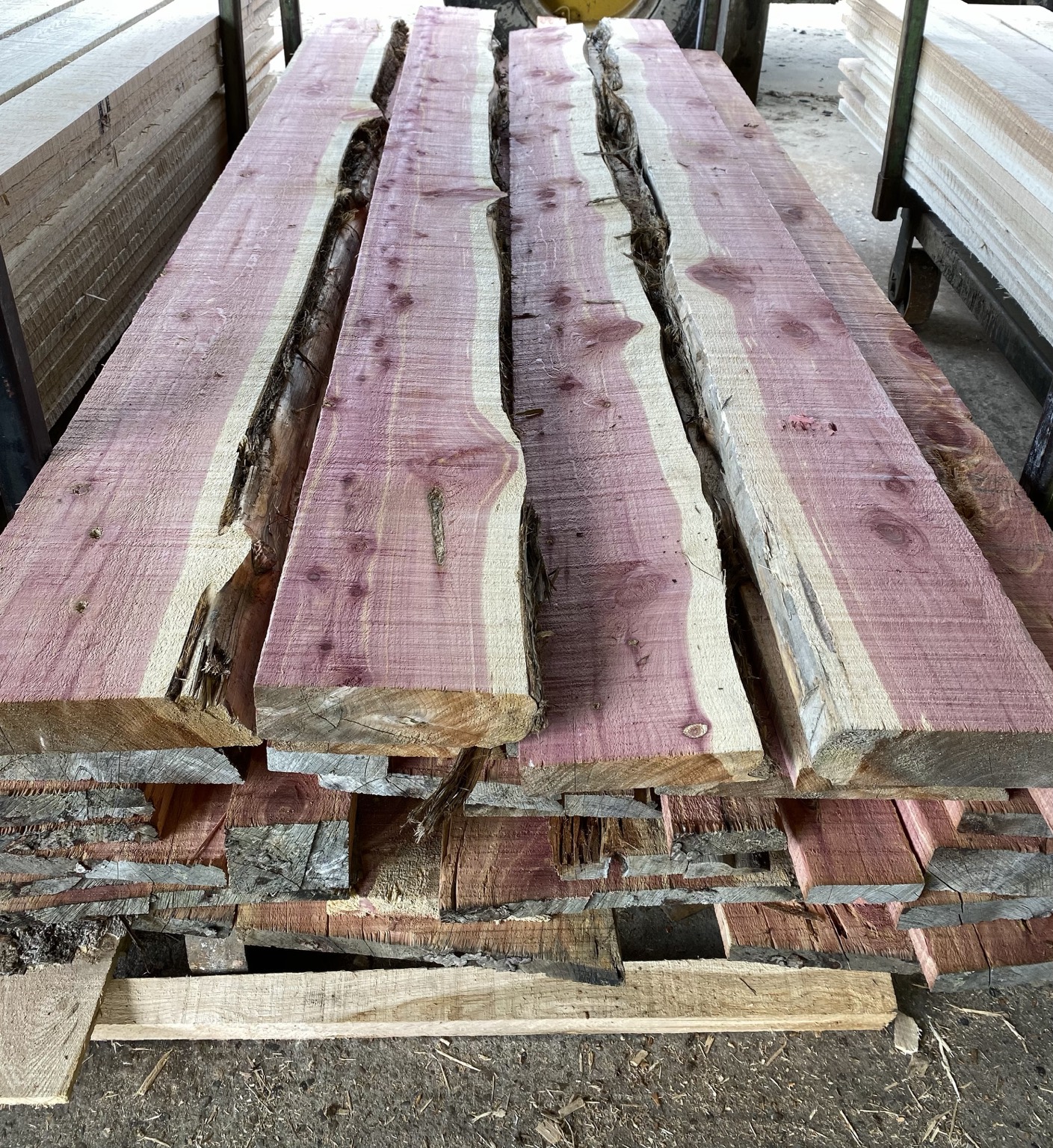 Freshly sawn rough-cut hardwood slabs showing natural grain and live edges