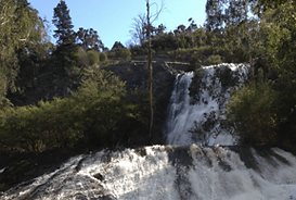 Maroondah dam and reserve