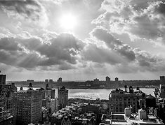 New York Sunbeams