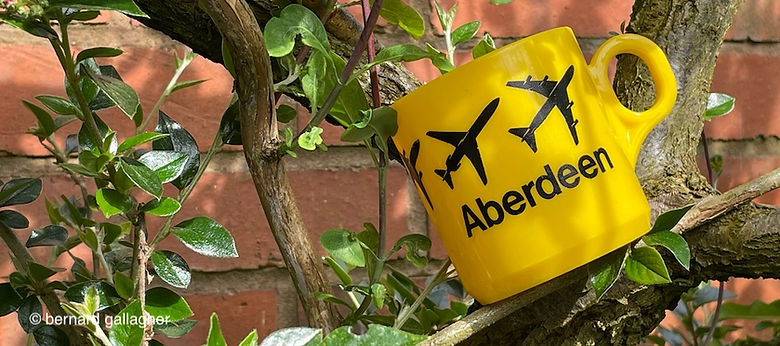 Aberdeen-Cup_2205.jpg