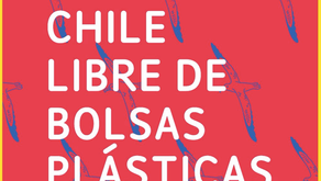 Good Bye to Plastic Bags