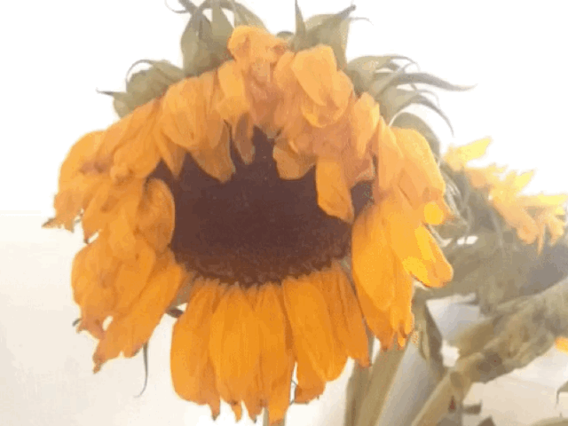 LIGHT ON/OFF