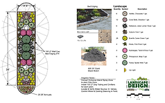 The Landscape Design Guy D.I.Y Design
