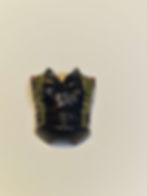 1985 FLINT (v1) BODY