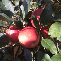 2015-01-21 16.53.48.jpg