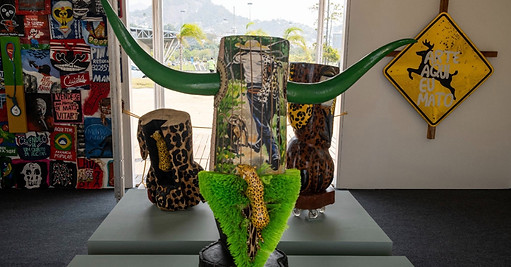 Nova Nota_edited.jpg