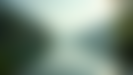 The Power of Mindfulness in Everyday Life