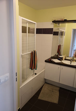 salle de bain avant.jpg