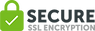 PikPng.com_ssl-png_5304323.png