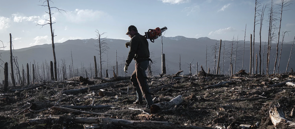 WASHED AWAY : A FAMILY LEGACY SAVED FROM NEAR DESTRUCTION