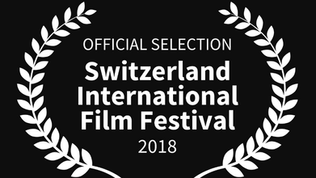 World-wide streaming of Operation Wedding documentary