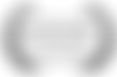 Best Writing Award - History and Film Festival, Croatia