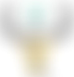 AUDIENCE CHOICE AWARD at docuTIFF! Tirana International Documentary Film Festival