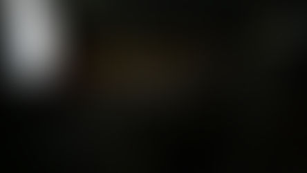 USA Director tour #1 NYC-Cleveland-Philadelphia (Operation Wedding, Documentary)