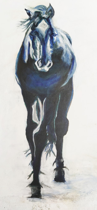 Black horse painting
