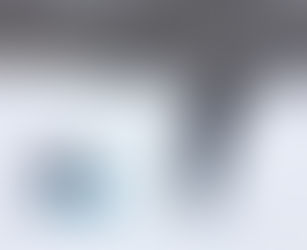 Director Winter Film Tour 2018 -Operation Wedding, documentary